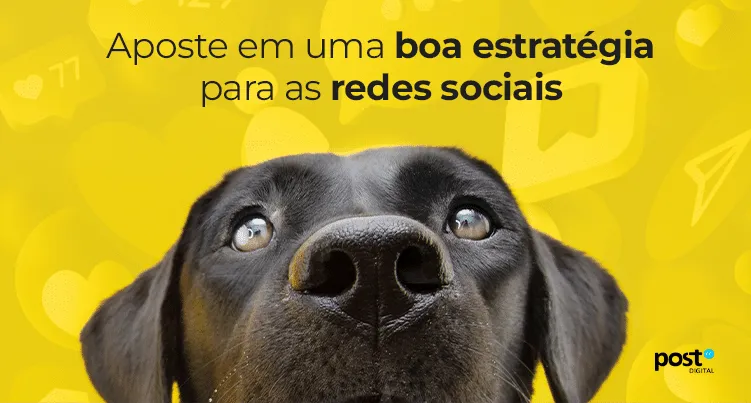 Aposte em uma boa estratégia para as redes sociais